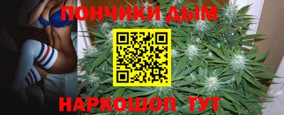 сатива Можга