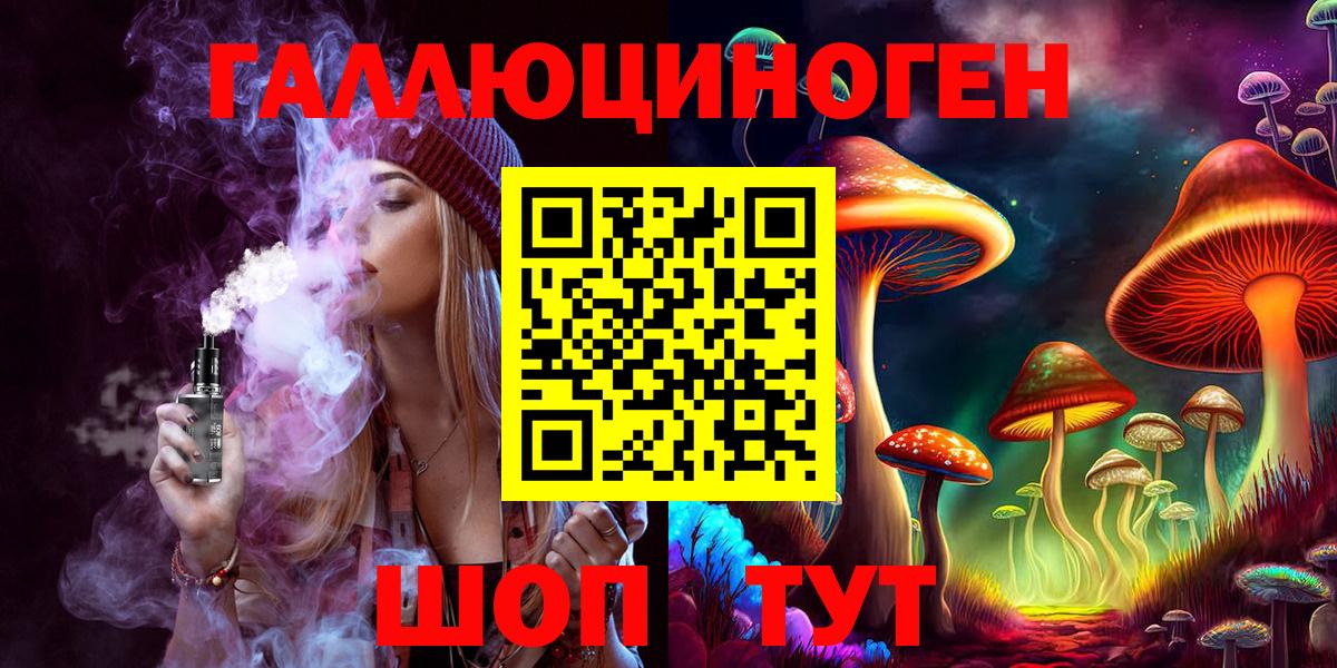 Хабаровск  Галлюциногенные грибы Psilocybe  Вход с VPN 
