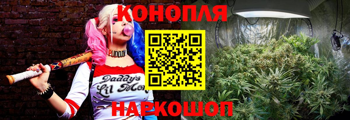 Шишки марихуана тримм  Бошки марихуана план  Вход с VPN  Канабис VHQ  Хабаровск  Каннабис White Widow 